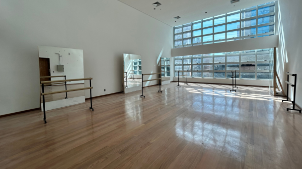 Sala da Dança Multipalco Eva Sopher
